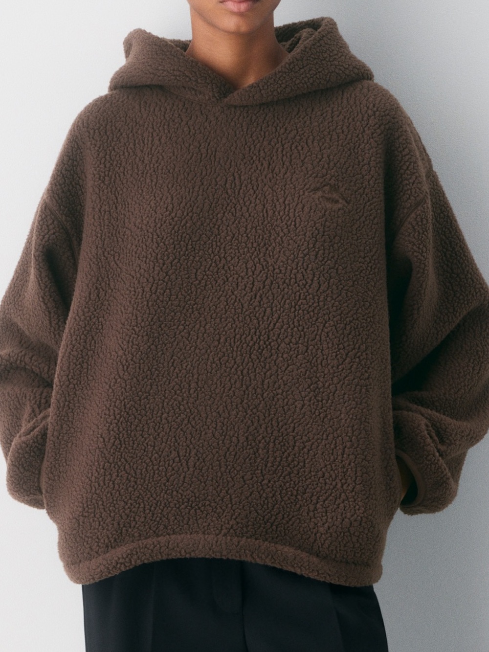 aritzia hoodie